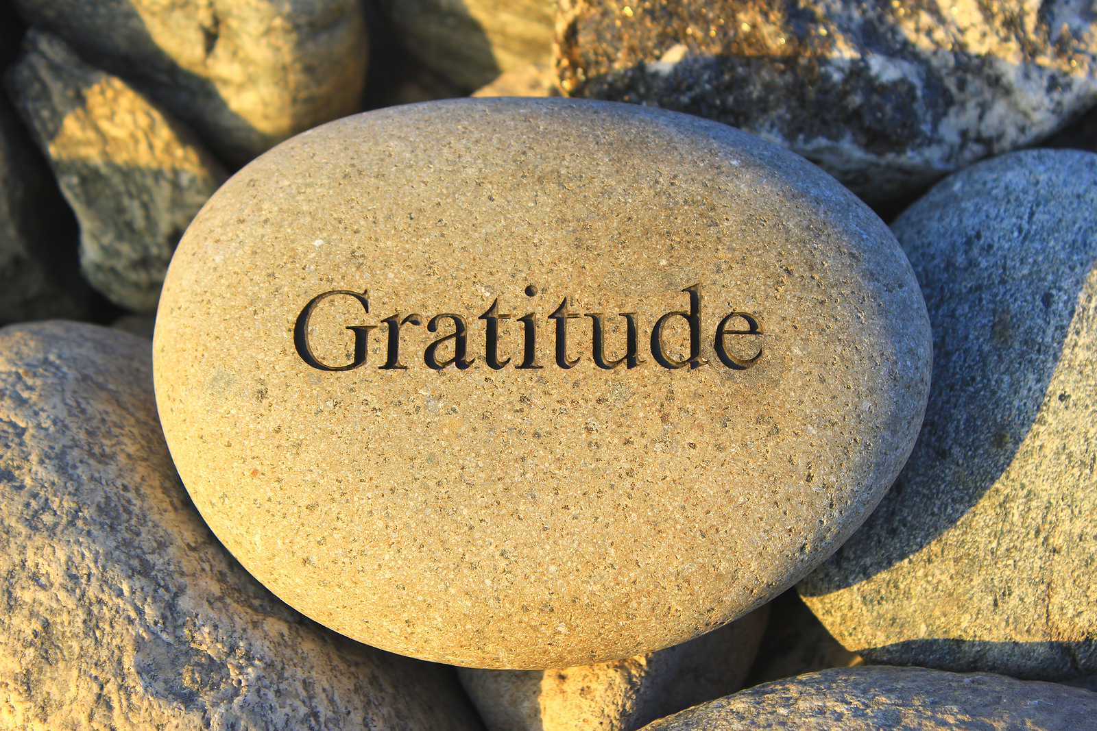 Connections-Hints-Today-Cultivate-Gratitude
