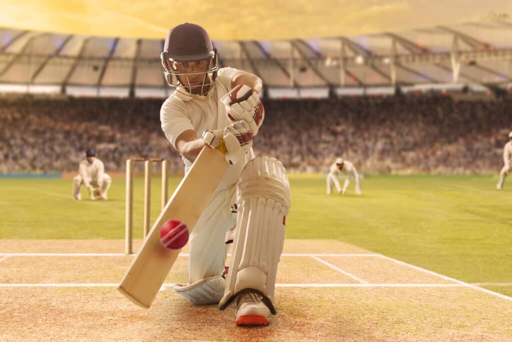 Google-Cricket-Cultural-Impact-Popularity